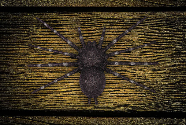 Dekoracja pająka na Halloween na drewnianej brązowej planszy.  - Zdjęcie, obraz