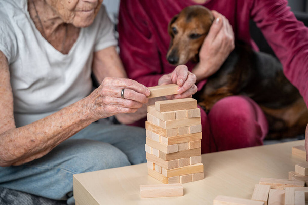 Demencia terápia. Szociális munkás és kutya játszik oktatási társasjáték senor beteg idősek otthonában. Jenga meccs. Gondozó, kisállat és idős nő épít torony blokkok idősek otthonában. - Fotó, kép