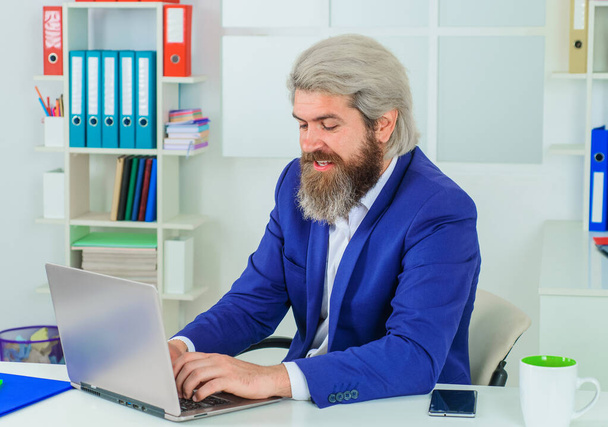 Businessman in suit in Office. Office worker. Bearded man with laptop. Leadership. CEO. Business expert. - Photo, Image