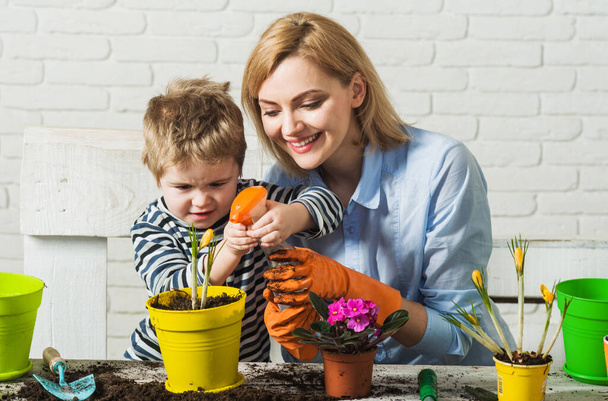 Planting together. Mother and son planting flowers. Family relationships. Care for plants. Gardening. - 写真・画像