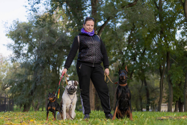 Young woman with dogs on a walk outdoors. Selective focus with blurred background. Shallow depth of field. - Photo, Image