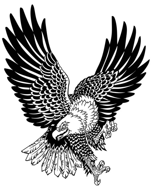 Amerikanischer Weißkopfseeadler im Flug. Landung angreifender Raubvogel. Tattoostil Schwarz-Weiß-Vektorillustration - Vektor, Bild