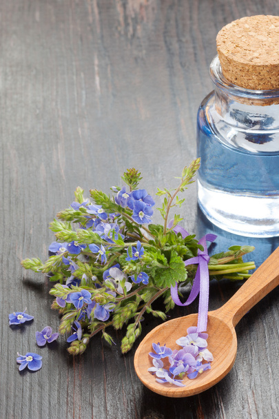 essential oil, wooden spoon and healing flowers - Photo, image