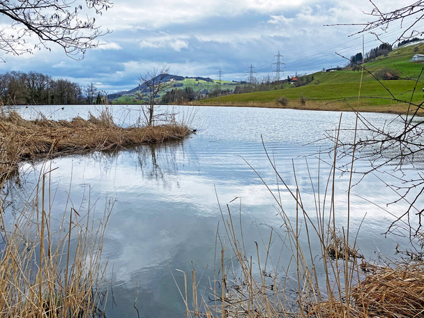 Pieni järvi Freyenweijer (Freyenweiher) tai lampi Itlimoosweiher (Itlimoosweijer), Samstagern - Zuerichin kantoni (tai Zürich), Sveitsi (Schweiz) - Valokuva, kuva