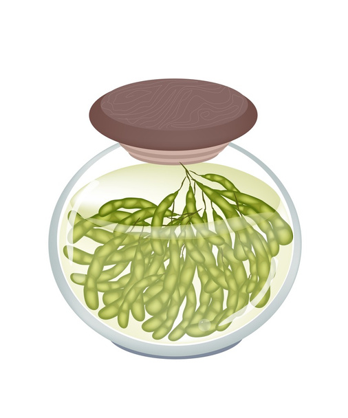 egy korsó finom pácolt zöld szójabab - Vektor, kép