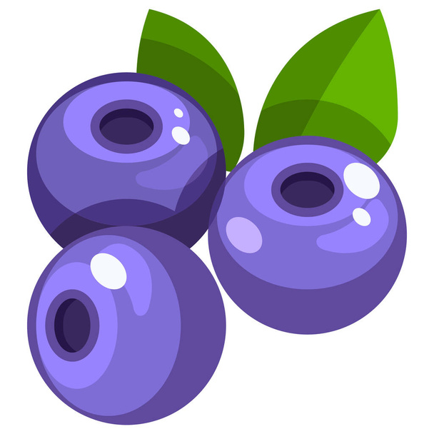 blueberry food fruit icon in Flat style - Vektor, kép