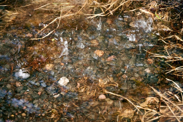 Duża kałuża: krople deszczu spadające w kałuży i krople wody na powierzchni fal - Zdjęcie, obraz