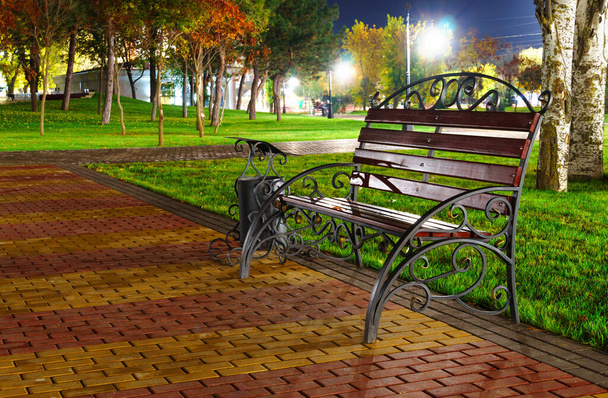 parc municipal d'automne la nuit, arbres aux feuilles jaunes, lampadaires et bancs - Photo, image