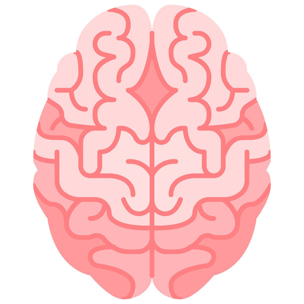 elülső test agy ikon - Vektor, kép