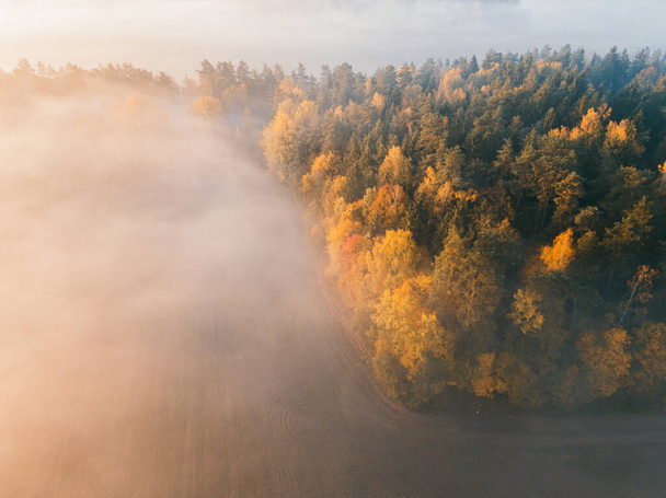 Luftaufnahme des Herbstwaldes im Morgenlicht bei Sonnenaufgang. Feld im Nebel - Foto, Bild