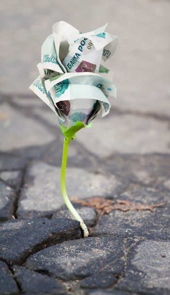 Growing money sprout in asphalt - Photo, Image