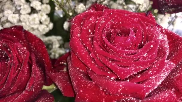 Közelkép egy friss, élvezetes csokor rózsa vízcseppekkel. Virágcsokrok kiszállítása. Szelektív fókusz, sekély mélységélesség - Felvétel, videó