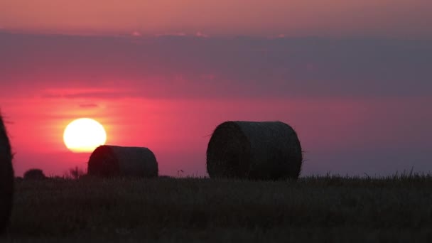 pile di paglia al tramonto sul campo - Filmati, video