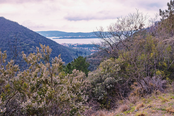 Облачный весенний день в горах, красивый средиземноморский пейзаж. Черногория, Которский залив, Тиват. Цветовая тонировка - Фото, изображение