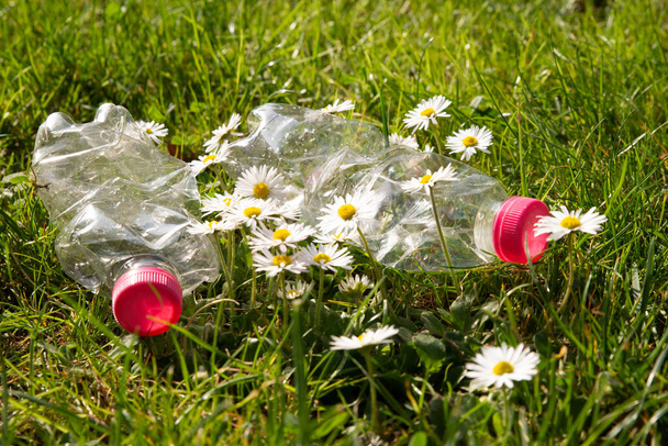 Przezroczyste plastikowe butelki, porzucone w środowisku. Zanieczyszczenie tworzyw sztucznych i recykling. - Zdjęcie, obraz