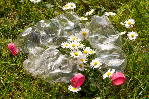 Przezroczyste plastikowe butelki, porzucone w środowisku. Zanieczyszczenie tworzyw sztucznych i recykling. - Zdjęcie, obraz
