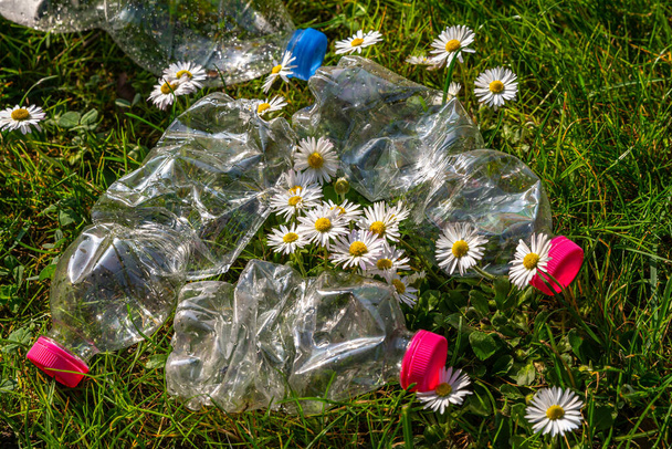 Прозорі пластикові пляшки, покинуті в навколишньому середовищі. Забруднення та переробка пластику
. - Фото, зображення