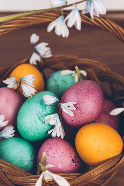 Pääsiäisen tausta. Pääsiäismunia korissa. Pääsiäiskori, jossa on keltaisia, vihreitä ja violetteja munia ja koristeltu lumikelloilla, seisoo puupöydällä.. - Valokuva, kuva