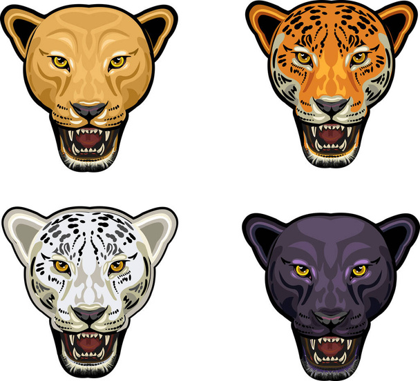 Portrait of a tiger head or black panther, jaguar, leopard, puma - Vector, Imagen