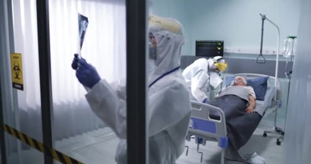 Medico che esamina la scansione dei polmoni vicino ai pazienti coronavirus - Filmati, video
