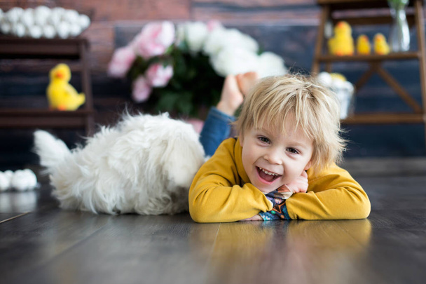 Little toddler child, blond boy, playing on mobile, lying on the floor with maltese pet dog next to him - Foto, Bild