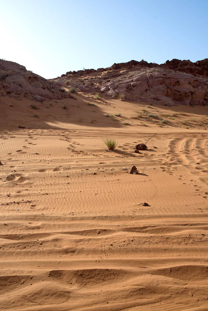 Around Nazwa and pink rock desert, view of the sand and plant in the desert, Sharjah, Zjednoczone Emiraty Arabskie - Zdjęcie, obraz