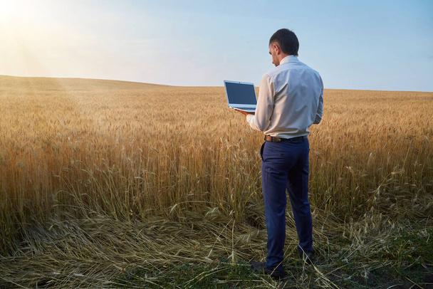 A farmer agronomist works in the field with a laptop using advanced high technologies in growing wheat. - Foto, afbeelding