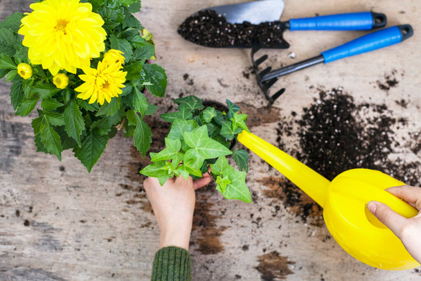 Flores e vegetais com ferramentas de jardinagem fora do galpão - Foto, Imagem