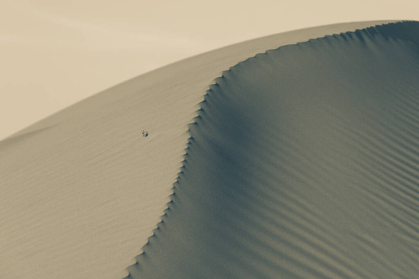 Schwarz-weißer Sonnenuntergang in der Wüste über einen strukturierten und gemusterten Bergrücken, der spektakuläre, wechselnde Formen annimmt. Vereinigte Arabische Emirate oder Wüstenkonzept Sahara. - Foto, Bild