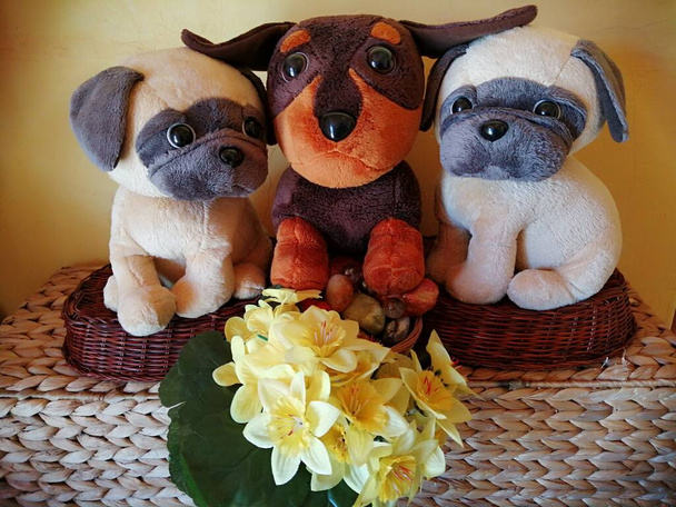 Des animaux en peluche. Trois petits chiens assis ensemble comme de fidèles amis sur des boîtes en tricot banane devant un fond jaune. Ils sont entourés de décorations et de fleurs jaunes.  - Photo, image