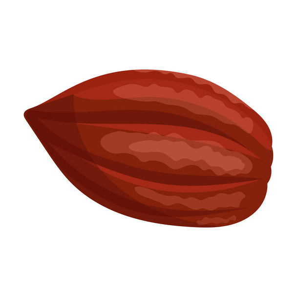 Kakaobohne isoliert Cartoon Illustration Ikone. Vektorillustration Schokoladenfrucht auf weißem Hintergrund. Vector-Cartoon-Ikone Kakaobohne. - Vektor, Bild