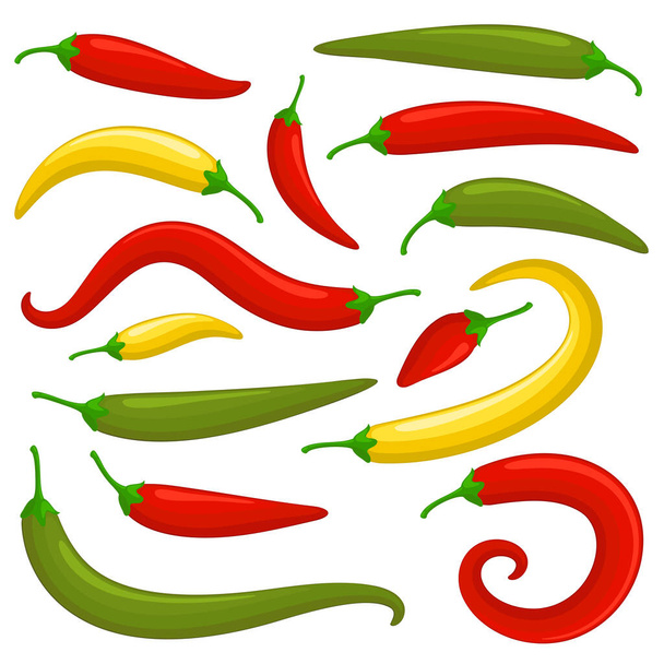 Closeup chilly pepper vector set. - Vector, Image