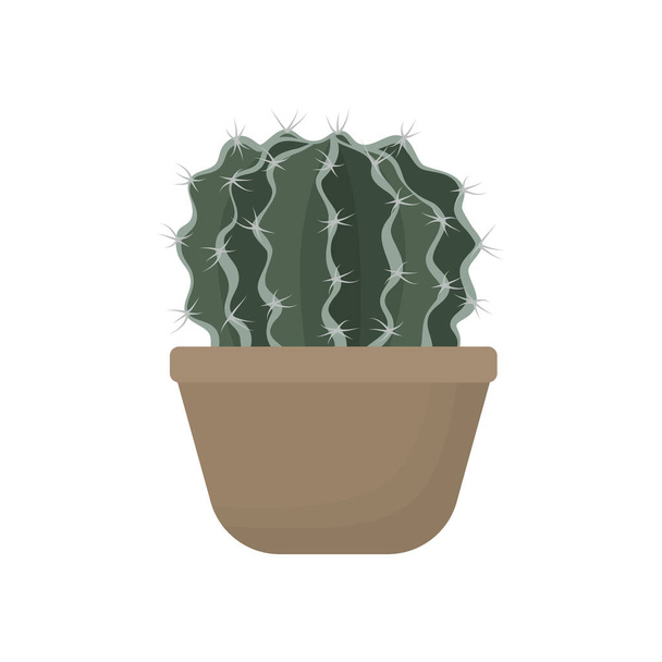 Houseplant Cactus and succulent in flat handrawn style. Decorative flower plant in ceramic pot. Isolated icon cacti. Home plant with needles. Cartoon vector illustration. - Vector, Image