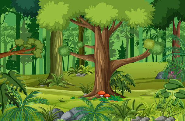 Erdő jelenet sok fa illusztráció - Vektor, kép