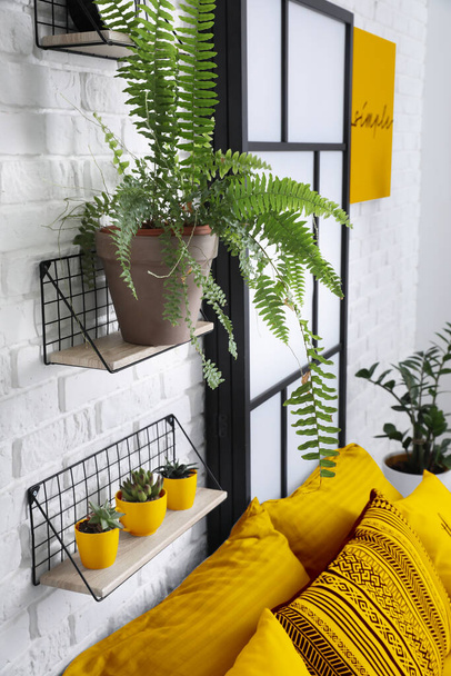 Belső tér modern stílusos hálószoba polcokkal és szobanövényekkel - Fotó, kép