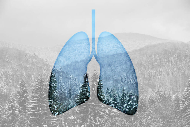 Διπλή έκθεση των ανθρώπινων πνευμόνων και χιονισμένο δάσος στα βουνά - Φωτογραφία, εικόνα