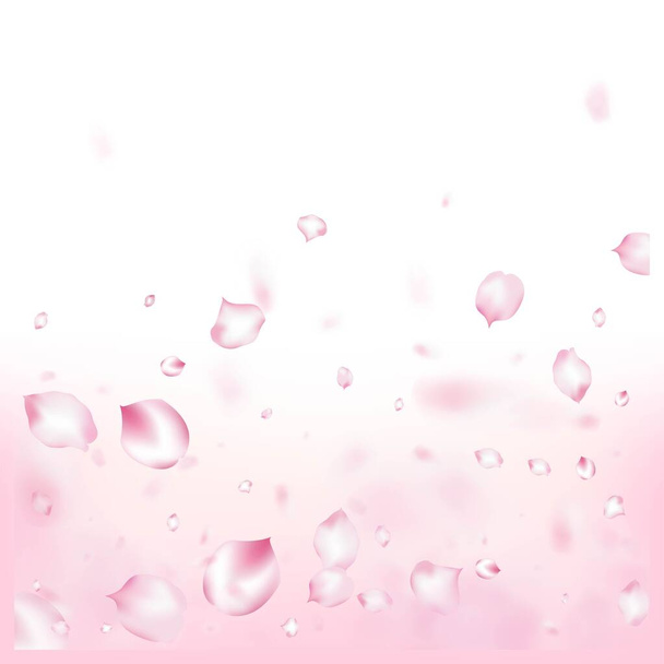 Kirschblütenkonfetti. Windy Leaves Confetti Banner. Fallende japanische Rose Sakura Cherry Petals Design. Blühende Kosmetik Ad Elegante Floral Hintergrund. Schöne Premium Magic Pattern. - Vektor, Bild