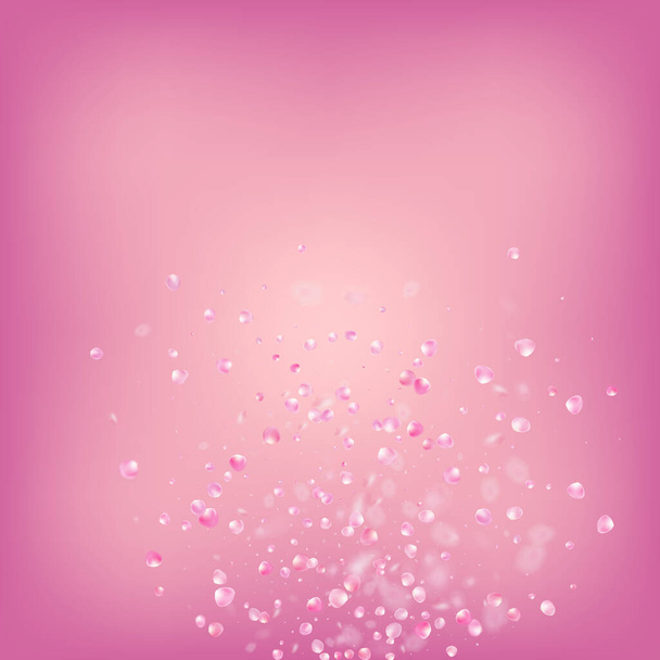 Літаючий конфетті Роуз Петлс. Японський бренд Rose Sakura Cherry Petals Banner. Жіноча багата жіноча текстура. Blooming Cosmetics Ad Elegant Floral Background Вінді залишає по собі кордон з Конфетті. - Вектор, зображення