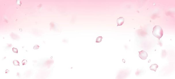 チェリーさくらペタルコンフェッティ。化粧品広告女性の花の背景を開花。風はConfettiフレームを残します。プレミアム・オープンパターン。日本の桜の落下｜さくらペタルデザイン. - ベクター画像