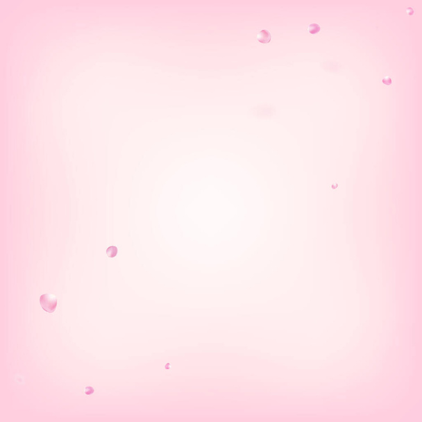 Літаючий конфетті Роуз Петлс. Японська вишня Сакура Rose Petals Frame. Преміум Магічний Патерн. Вінді залишає дизайн Confetti. Затемнення косметики Ad Elegant Floral Background. - Вектор, зображення