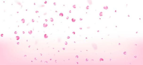 Rózsa szirmok hulló Confetti. Virágzó kozmetikumok reklám nemes virág háttér. Gyönyörű Prémium akvarell minta. Windy elhagyja a Confetti Határt. Zuhanó japán rózsa Sakura cseresznye szirmok Banner. - Vektor, kép
