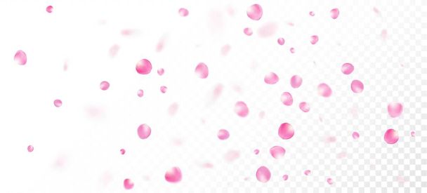 Роза Петалс Падає Конфетті. Blooming Cosmetics Ad Elegant Floral Background Вінді залишає дизайн Confetti. Жіноча багата квіткова текстура. Японська вишня Rose Sakura Petals Poster. - Вектор, зображення