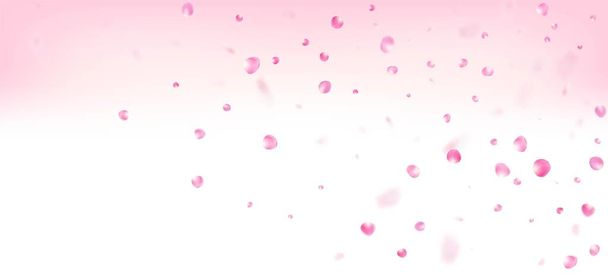 Płatki róż spadające konfetti. Kwitnące Kosmetyki Ad Eleganckie tle kwiatowe. Wiatr opuszcza plakat Confetti. Szlachetny kobiecy wzór Premium. Spadające japońskie płatki wiśni Sakura Rose Banner. - Wektor, obraz