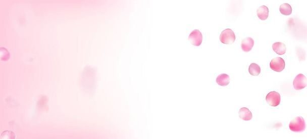 Роза Петалс Падає Конфетті. Вінді залишає Confetti Border. Blooming Cosmetics Ad Noble Floral Background Японська вишня Rose Sakura Petals Poster. Елегантний багатий патерн для ВІПу. - Вектор, зображення