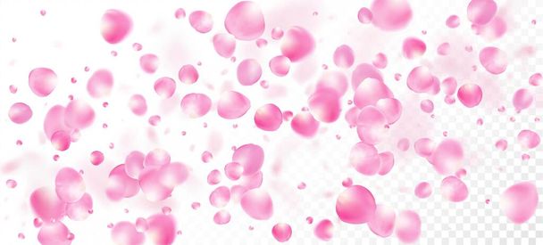 Pétalos de rosa cayendo Confetti. Flying Japanese Sakura Cherry Rose Petals Border. Textura mágica Noble Premium. Windy Leaves Confetti Poster. Cosméticos florecientes Ad Elegante fondo floral. - Vector, imagen