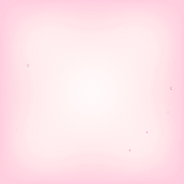 Rose Petals Flying Confetti. Padrão mágico VIP rico bonito. Voando japonês Cherry Sakura Rose Pétalas Poster. Windy deixa quadro Confetti. Blooming Cosméticos anúncio elegante flor fundo. - Vetor, Imagem