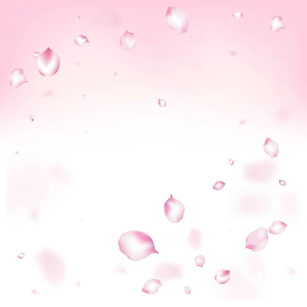 Cherry Sakura Blossom Confetti. Blooming Cosmetics Ad Elegant Floral Background. Falling Japanese Sakura Cherry Rose Petals Banner. Beautiful Premium Magic Texture. Windy Leaves Confetti Design. - Vector, Image