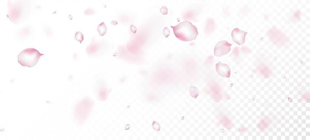 Cherry Sakura Petals Confetti. Patrón femenino rico VIP acuarela. Flying Japanese Sakura Cherry Rose Petals Frame. Cosméticos florecientes Ad Fondo floral elegante. Hojas ventosas Confetti Design. - Vector, imagen