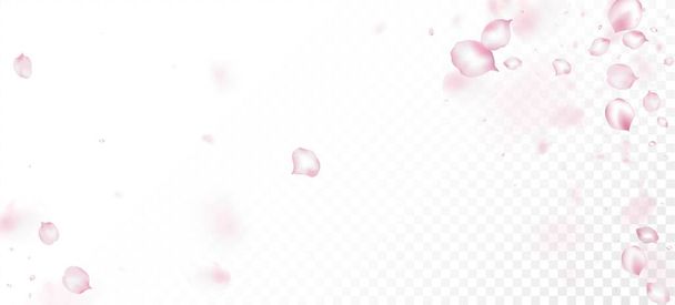 Cherry Sakura Blütenblätter Konfetti. Blühende Kosmetik Ad weibliche Blume Hintergrund. Fliegende japanische Cherry Sakura Rosenblätter Banner. Windy Leaves Confetti Border. Edles, reiches VIP Pastellmuster. - Vektor, Bild