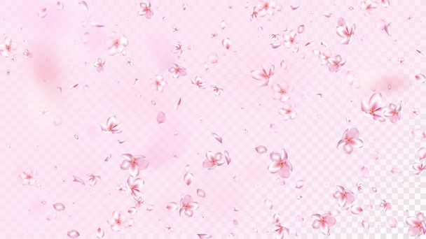 Bonito Sakura Blossom Vector aislado. Magic caída 3d pétalos de diseño de la boda. Ilustración japonesa de flores funky. San Valentín, Día de la Madre Realista Niza Sakura Blossom Aislado en Rose - Vector, imagen
